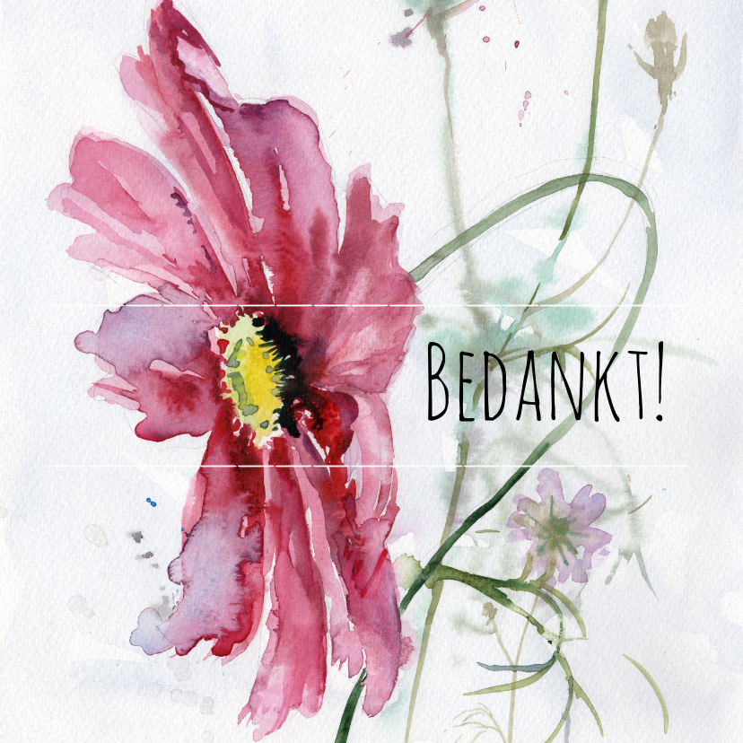 Bedankkaart, aquarel Cosmea - Bedankkaartjes Bedankkaartjes - Bedankkaart, aquarel Cosmea