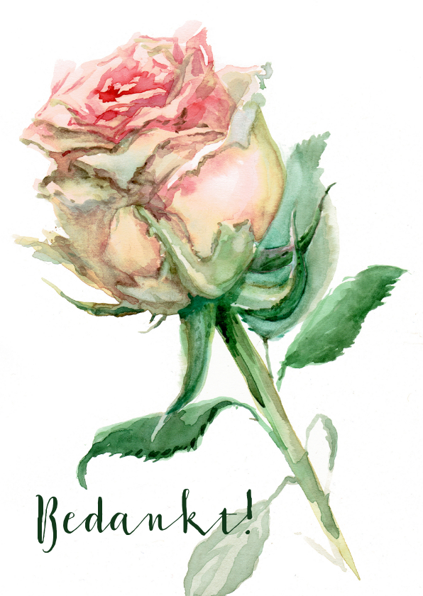 Bedankkaartjes - Bedankkaart met geschilderd roze roos