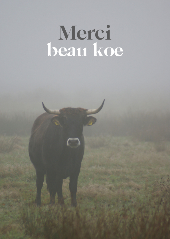 Bedankkaartjes - Bedankkaartje met 'Merci beau koe' foto 
