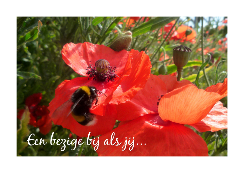Bedankt Bezige Bij 3 - Bedankkaartjes Bedankkaartjes - Bedankt Bezige Bij 3