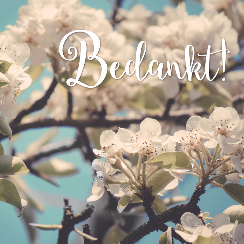 Bedankt - Bloesem - Bedankkaartjes Bedankkaartjes - Bedankt - Bloesem