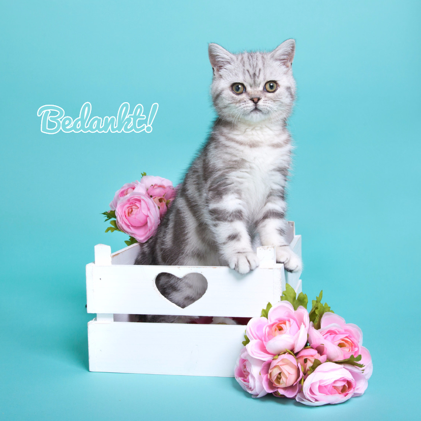 Bedankkaartjes - Bedankt - Kitten met bloemen