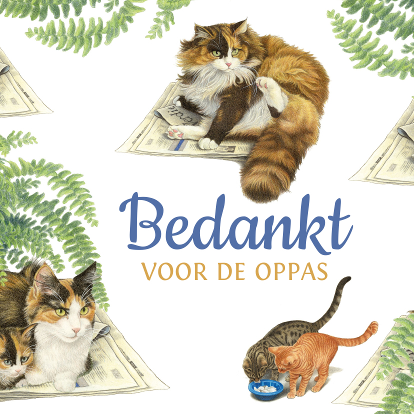 Bedankkaartjes - Bedankt voor de oppas katten