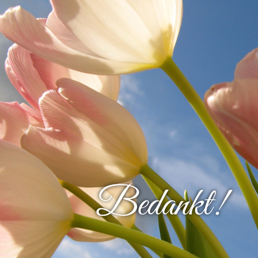 Bedankkaartjes - bedanktkaart tulpen - LB