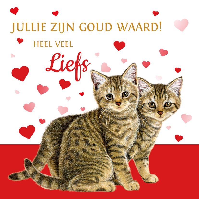 Bedankkaartjes - Jullie zijn goud waard kittens en hartjes