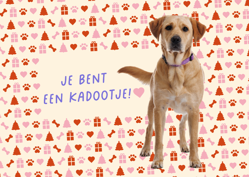 KNGF bedankkaart met staande hond - Bedankkaartjes Bedankkaartjes - KNGF bedankkaart met staande hond