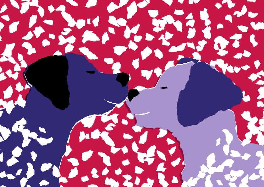 KNGF bedankkaart met twee hondjes in de sneeuw - Bedankkaartjes Bedankkaartjes - KNGF bedankkaart met twee hondjes in de sneeuw