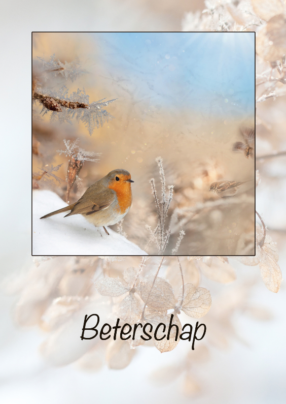 Beter met winterroodborst - Beterschapskaarten Beterschapskaarten - Beter met winterroodborst