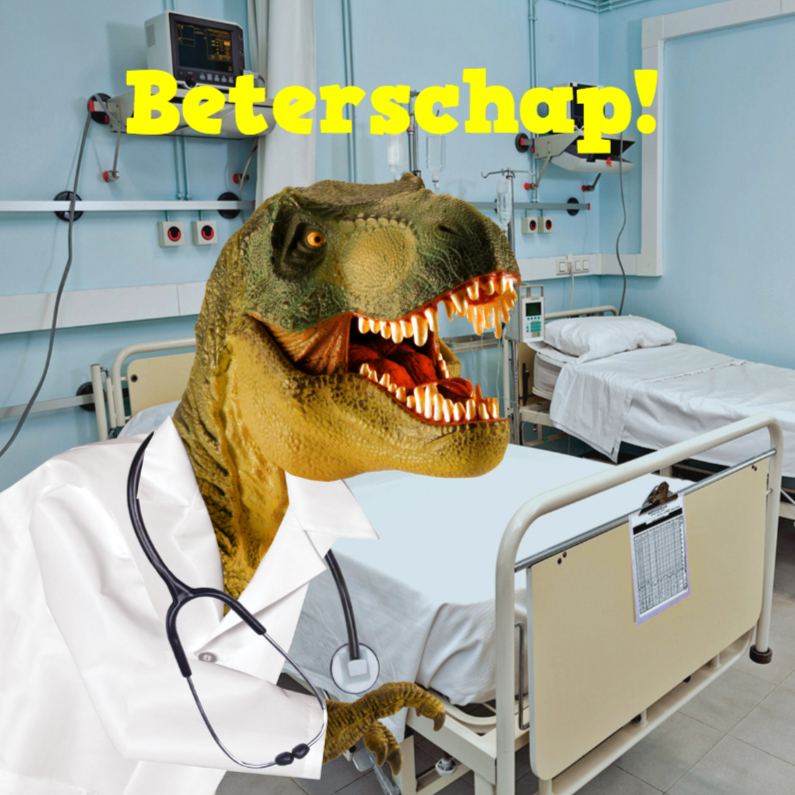beterschap dino - Beterschapskaarten Beterschapskaarten - beterschap dino
