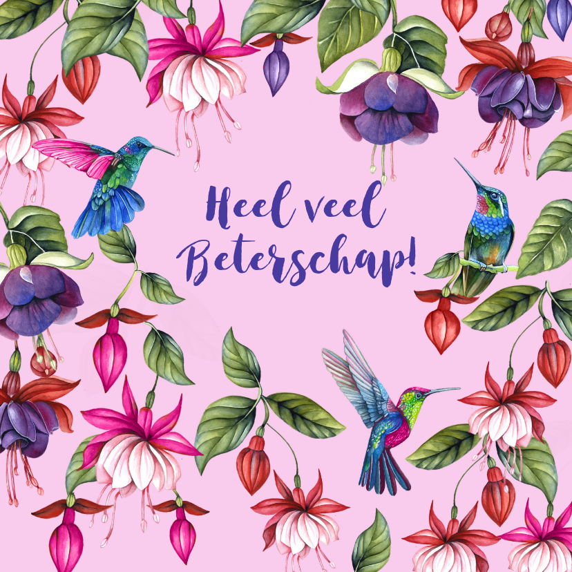 Beterschap fuchsiabloemen kolibrievogeltjes - Beterschapskaarten Beterschapskaarten - Beterschap fuchsiabloemen kolibrievogeltjes
