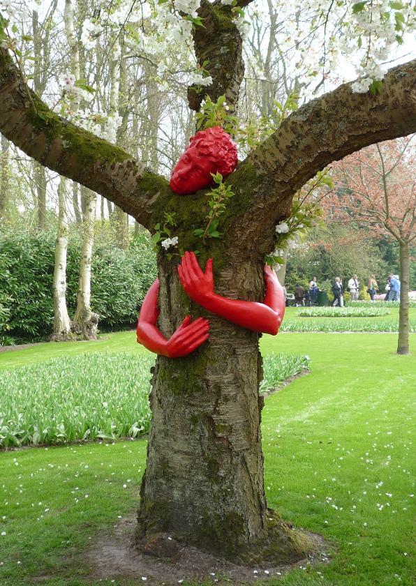 Beterschap Knuffel een boom - Beterschapskaarten Beterschapskaarten - Beterschap Knuffel een boom