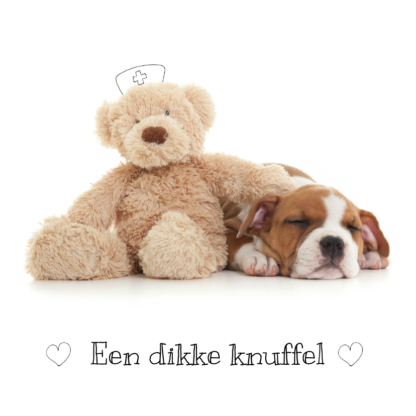 Beterschapskaarten - Beterschap - Puppy met knuffel