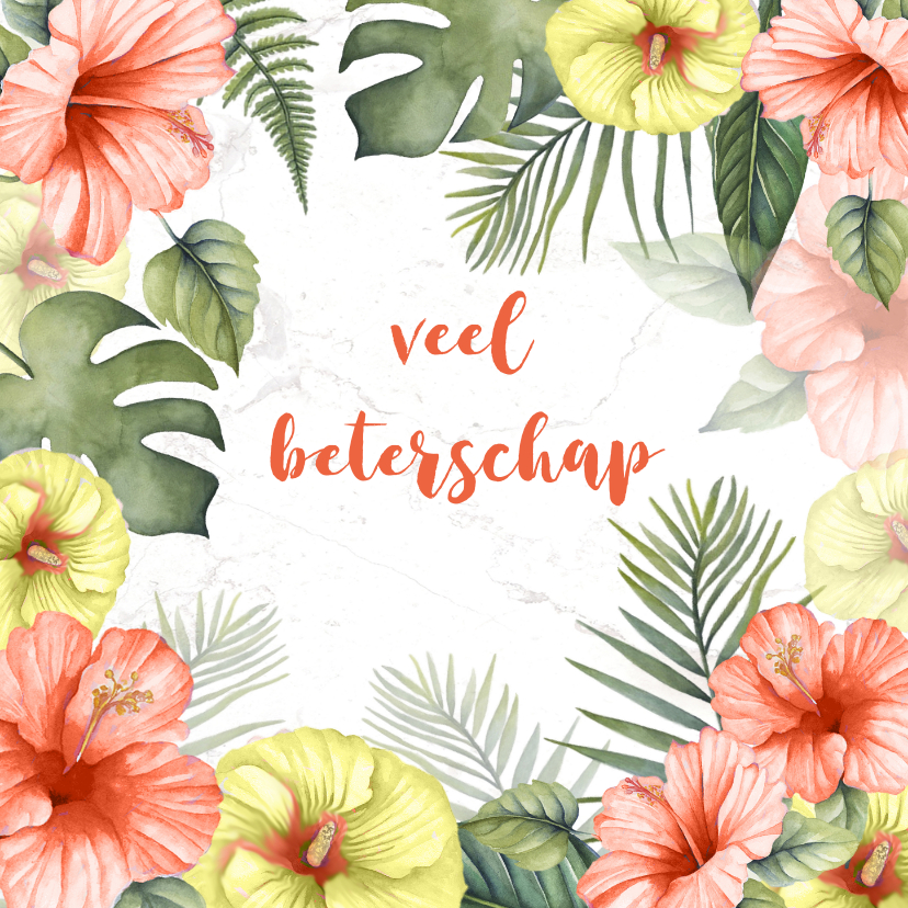 Beterschap tropische bloemen - Beterschapskaarten Beterschapskaarten - Beterschap tropische bloemen