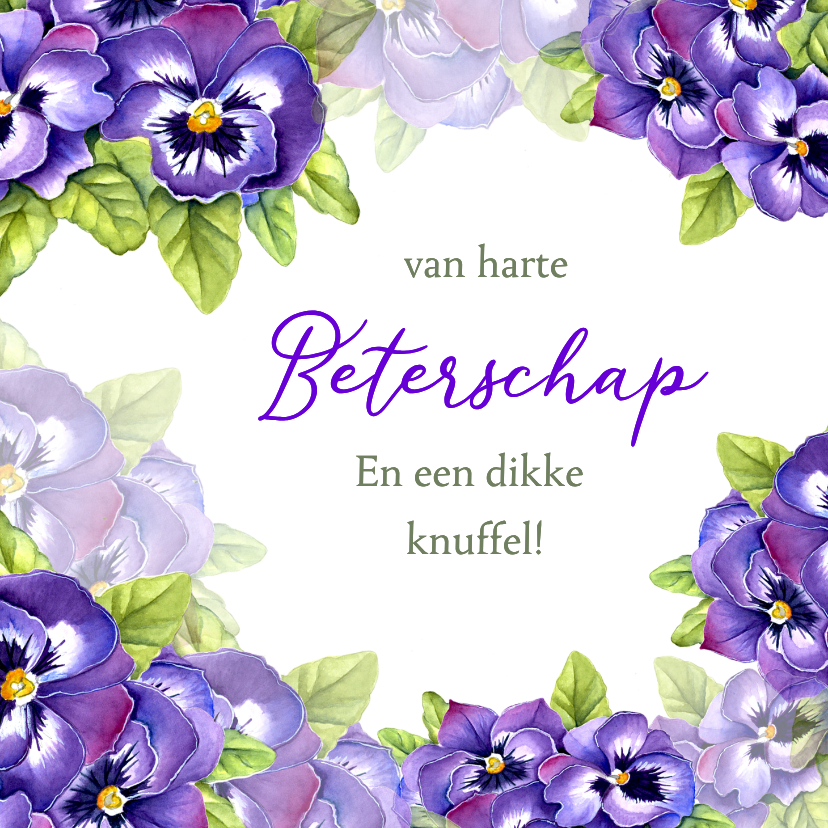 Beterschapskaarten - Beterschap violen
