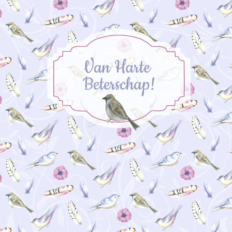 Beterschap vogeltjes veertjes - Beterschapskaarten Beterschapskaarten - Beterschap vogeltjes veertjes