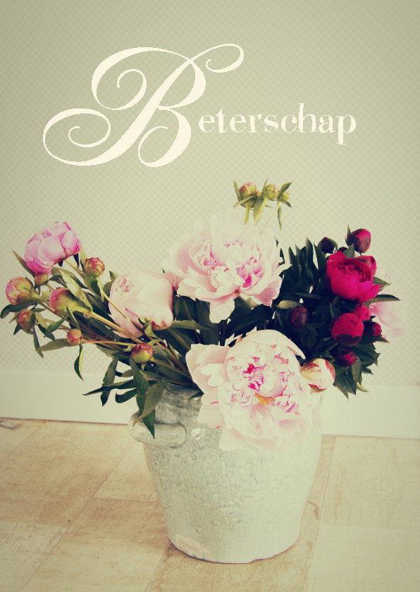 beterschap volwassene vaasje - Beterschapskaarten Beterschapskaarten - beterschap volwassene vaasje