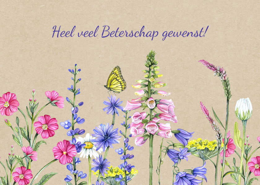 Beterschap wilde bloemen - Beterschapskaarten Beterschapskaarten - Beterschap wilde bloemen