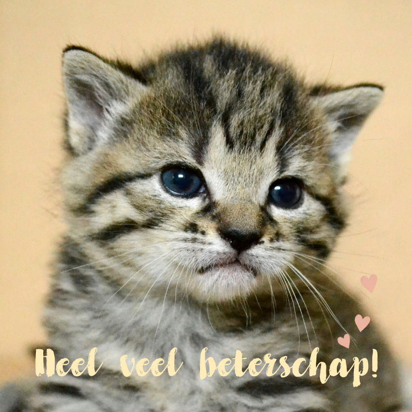 Beterschapkaart, schattig poesje - Beterschapskaarten Beterschapskaarten - Beterschapkaart, schattig poesje