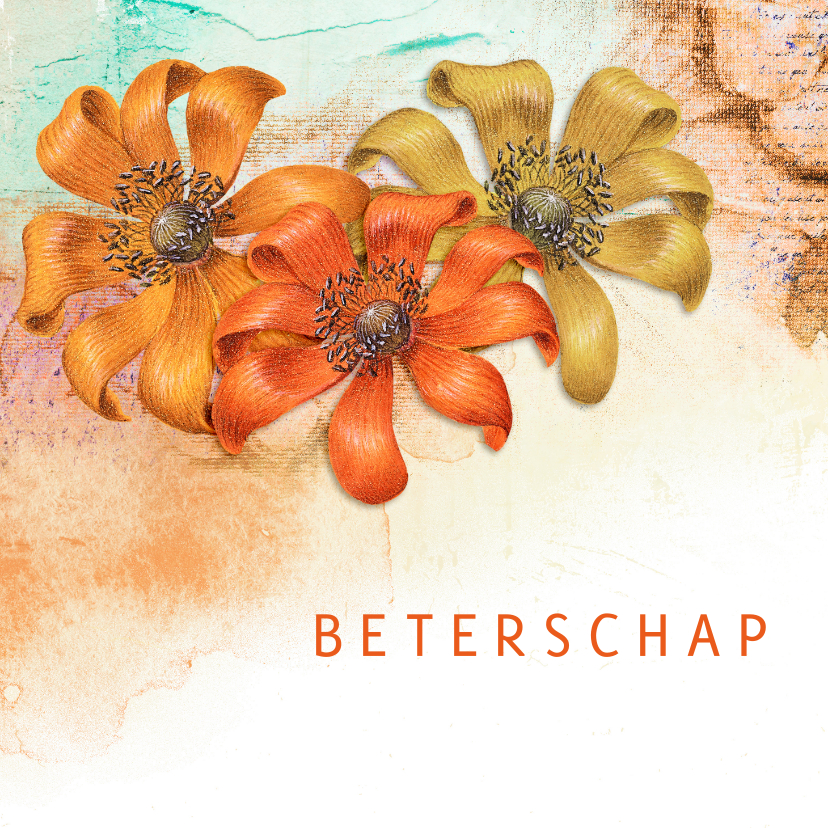 Beterschapskaarten - Beterschapkaart warme tinten flora