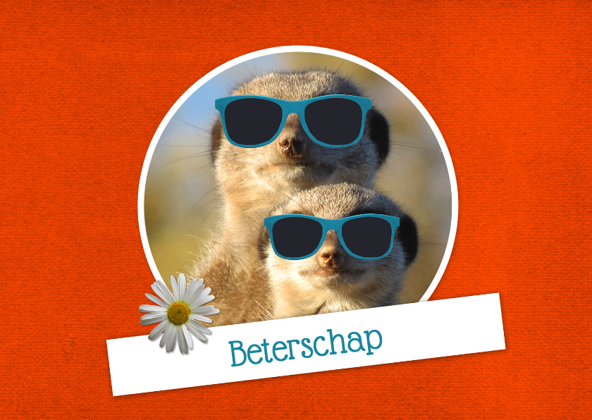 Beterschaps stokstaartje - DH - Beterschapskaarten Beterschapskaarten - Beterschaps stokstaartje - DH