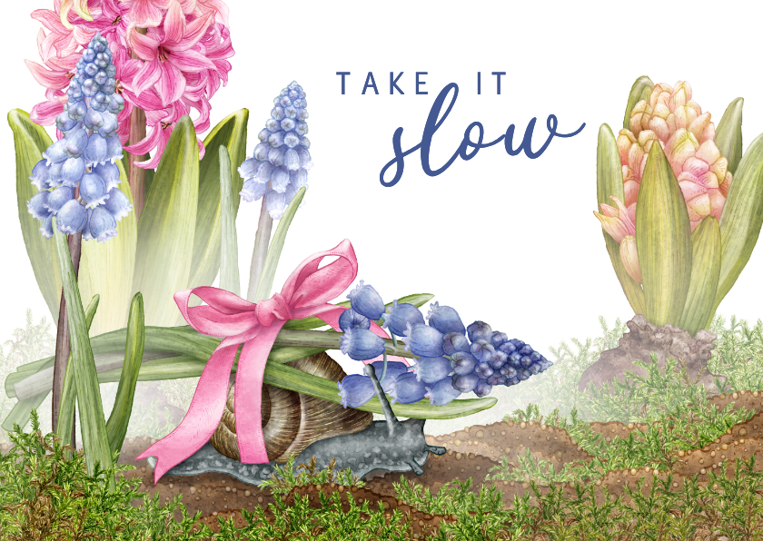 Beterschapskaarten - Beterschapskaart bloemen voorjaar neem je tijd