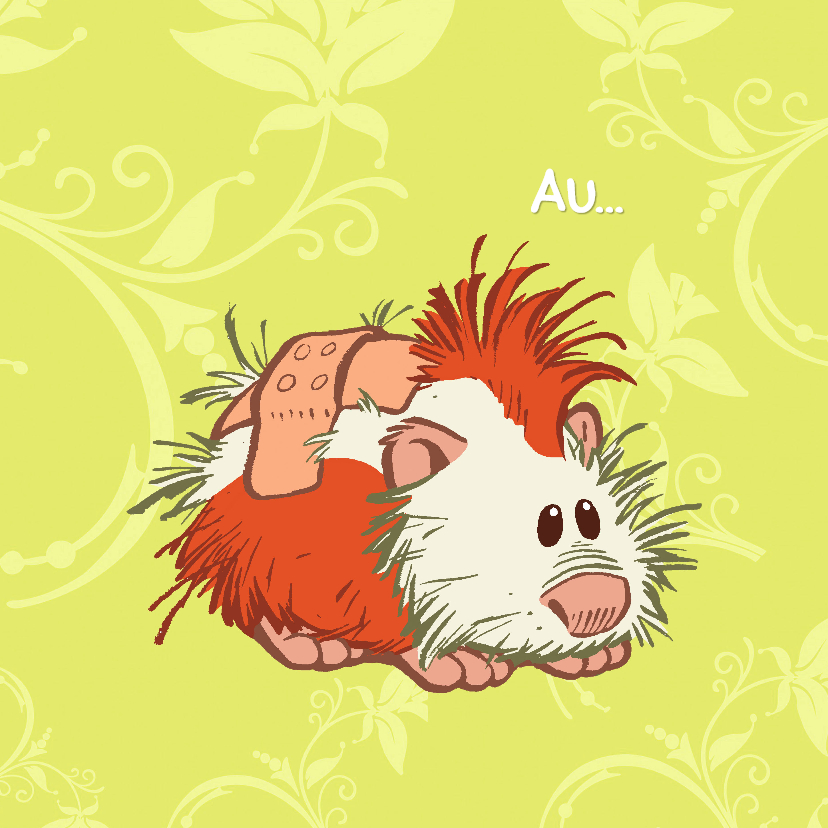 Beterschapskaart cavia - A - Beterschapskaarten Beterschapskaarten - Beterschapskaart cavia - A