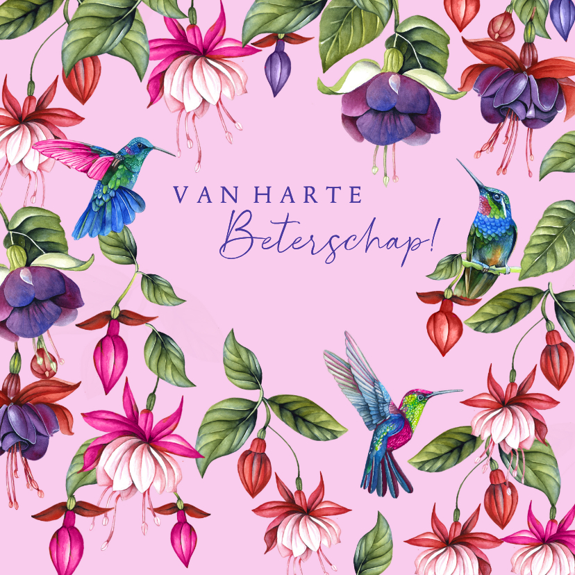 Beterschapskaarten - Beterschapskaart fuchsiabloemen kolibrievogeltjes
