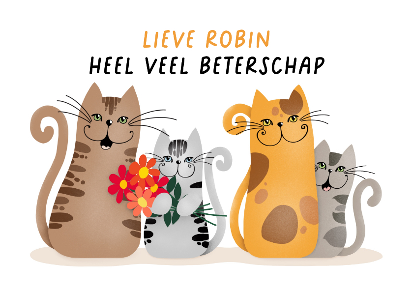 Beterschapskaarten - Beterschapskaart - groepje katten met een bosje bloemen