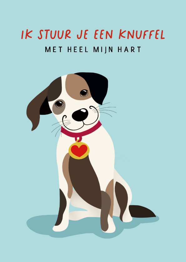 Beterschapskaarten - Beterschapskaart - Hond met hartje op zijn halsband