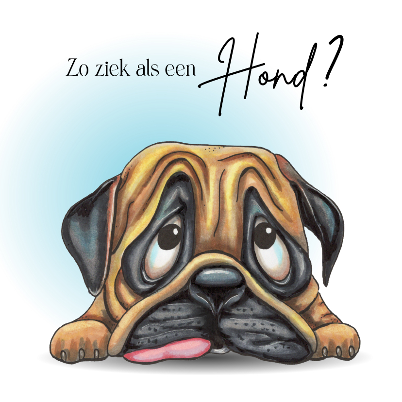 Beterschapskaarten - Beterschapskaart hond