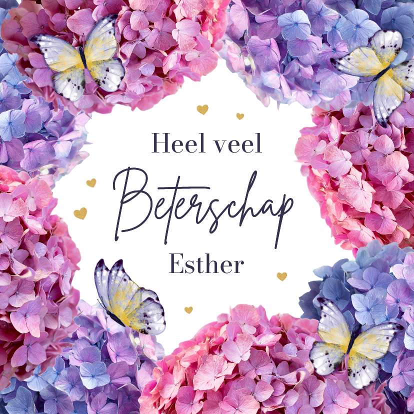 Beterschapskaarten - Beterschapskaart hortensia bloemen paars vlinders beterschap