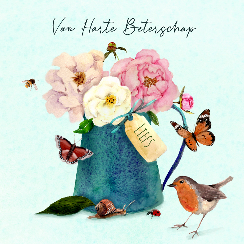 Beterschapskaarten - Beterschapskaart kan met bloemen
