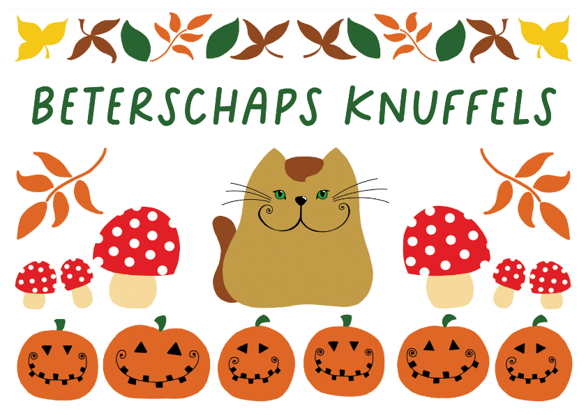 Beterschapskaart - Kat herfst - Beterschapskaarten Beterschapskaarten - Beterschapskaart - Kat herfst