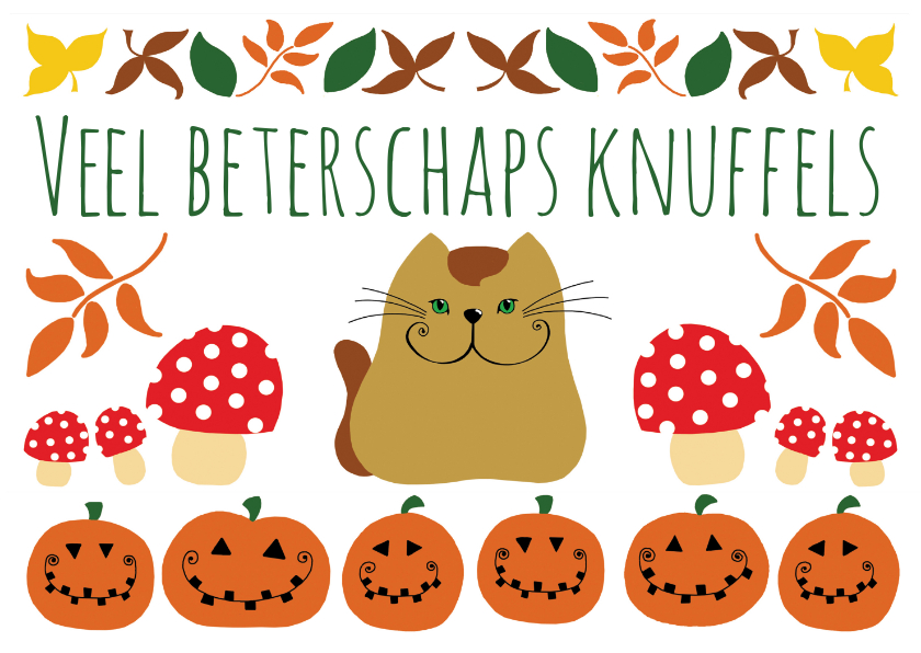 Beterschapskaarten - Beterschapskaart kat herfst