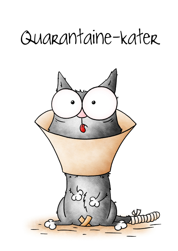 Beterschapskaarten - Beterschapskaart kat - Quarantaine-kater