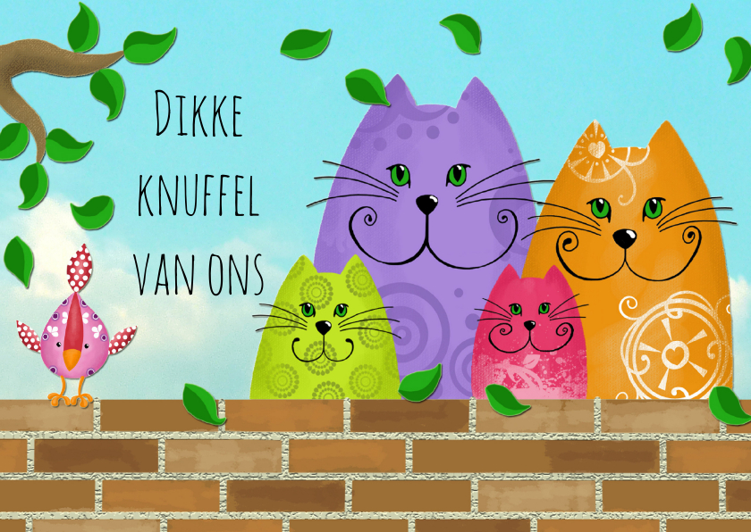 Beterschapskaart katten en vogel - Beterschapskaarten Beterschapskaarten - Beterschapskaart katten en vogel