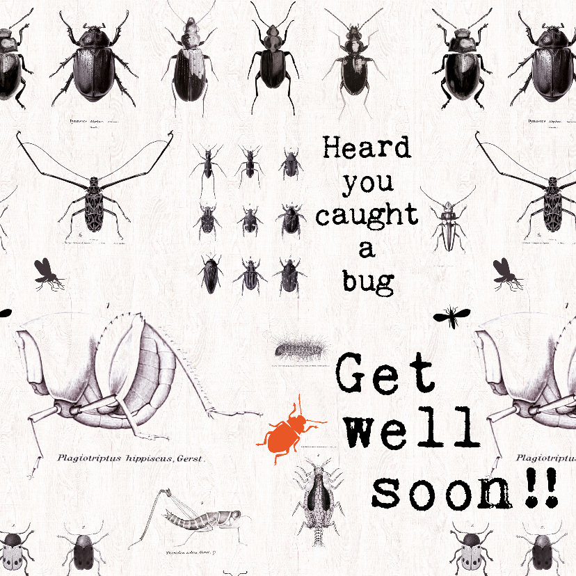 Beterschapskaart Kevers - GET WELL SOON!! - Beterschapskaarten Beterschapskaarten - Beterschapskaart Kevers - GET WELL SOON!!