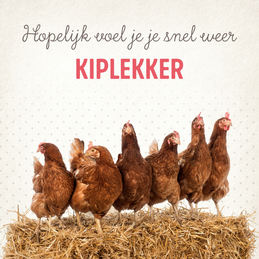 Beterschapskaart Kiplekker-99 - Beterschapskaarten Beterschapskaarten - Beterschapskaart Kiplekker-99