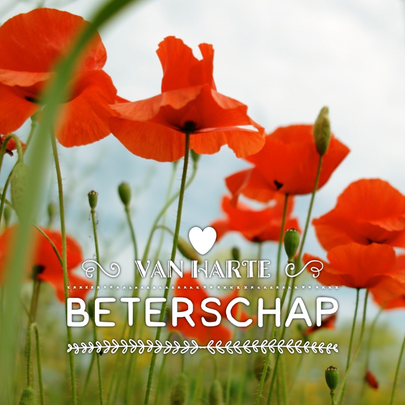 beterschapskaart Klaprozen - LB - Beterschapskaarten Beterschapskaarten - beterschapskaart Klaprozen - LB