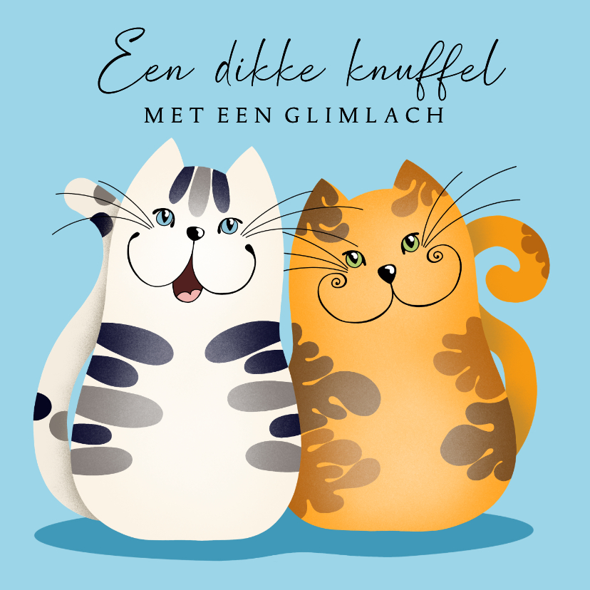 Beterschapskaart - Knuffelige katten - Beterschapskaarten Beterschapskaarten - Beterschapskaart - Knuffelige katten