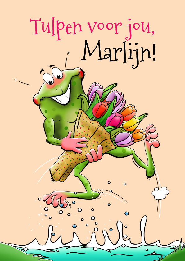 Beterschapskaart leuk opkikkertje tulpen andere bloemen - Beterschapskaarten Beterschapskaarten - Beterschapskaart leuk opkikkertje tulpen andere bloemen