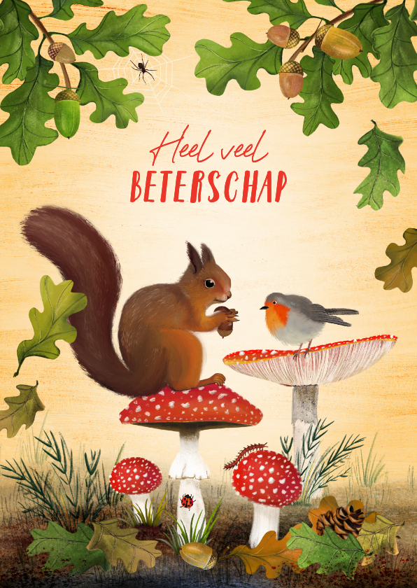 Beterschapskaart met bosdieren en paddestoelen - Beterschapskaarten Beterschapskaarten - Beterschapskaart met bosdieren en paddestoelen