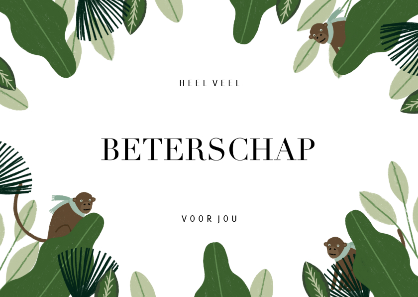 Beterschapskaarten - Beterschapskaart met jungle bladeren en aapjes