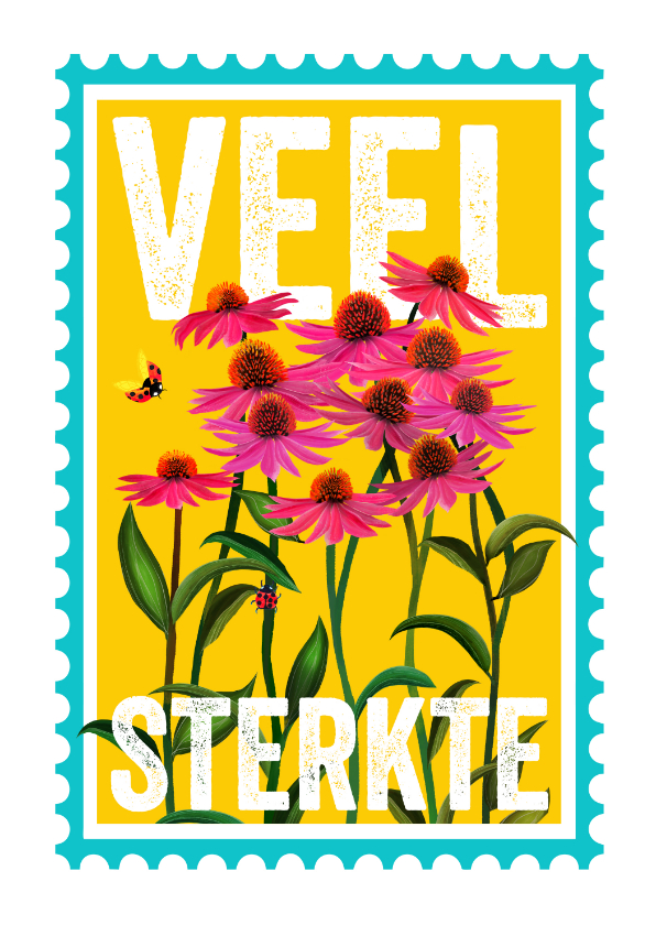Beterschapskaart met roze bloemen in een postzegel - Beterschapskaarten Beterschapskaarten - Beterschapskaart met roze bloemen in een postzegel