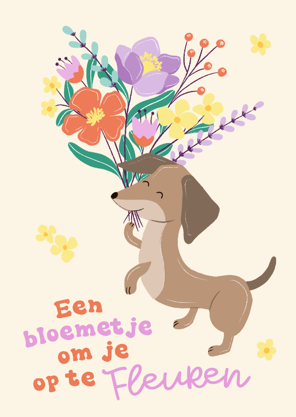 Beterschapskaarten - Beterschapskaart met teckel met bloemen