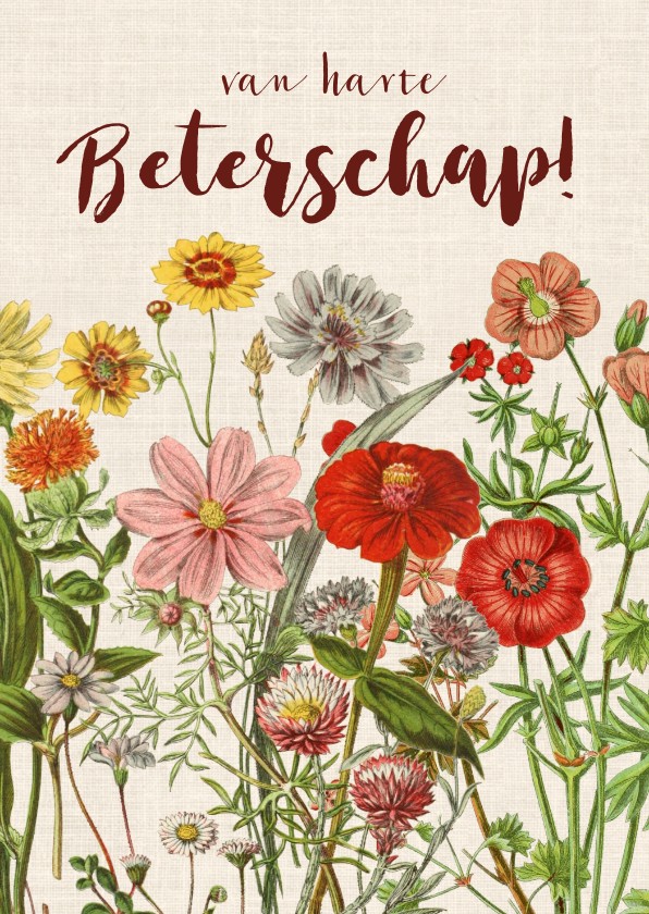 Beterschapskaarten - Beterschapskaart met vrolijke vintage bloemen