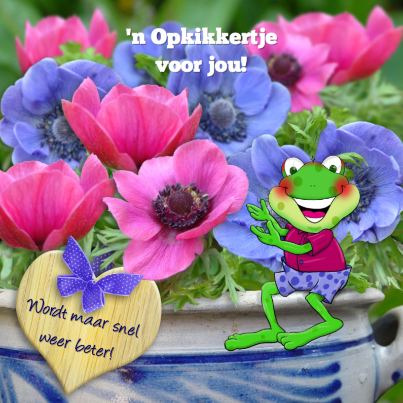 Beterschapskaart opkikker met pot Anemonen en wens - Beterschapskaarten Beterschapskaarten - Beterschapskaart opkikker met pot Anemonen en wens