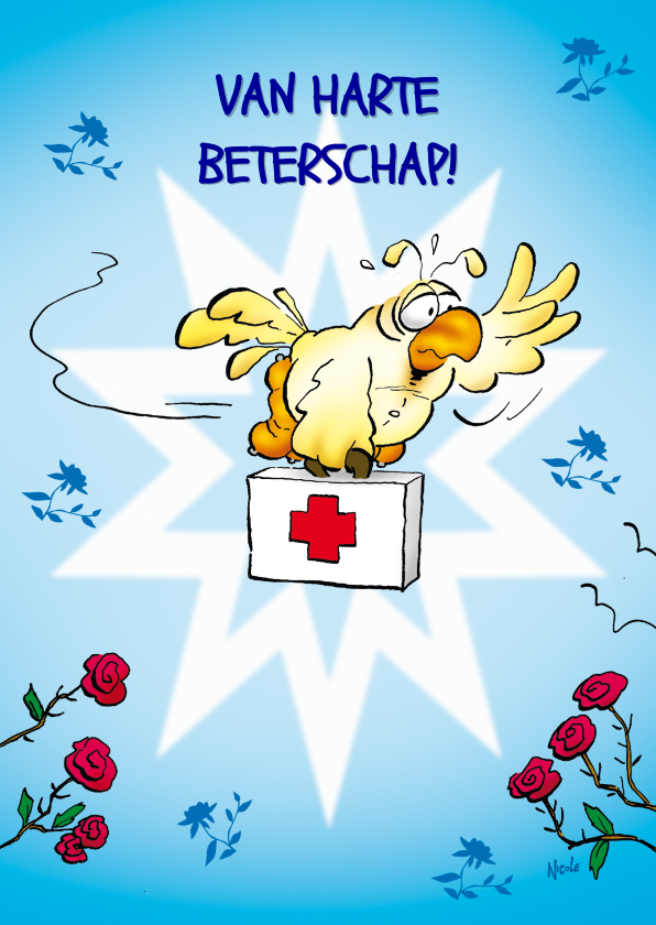Beterschapskaart Rocco beterschap papegaai met rozen - Beterschapskaarten Beterschapskaarten - Beterschapskaart Rocco beterschap papegaai met rozen