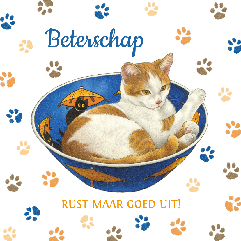 Beterschapskaarten - Beterschapskaart rustende kat