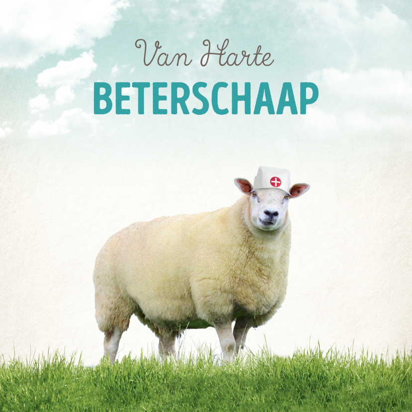 Beterschapskaarten - Beterschapskaart Schaap-99